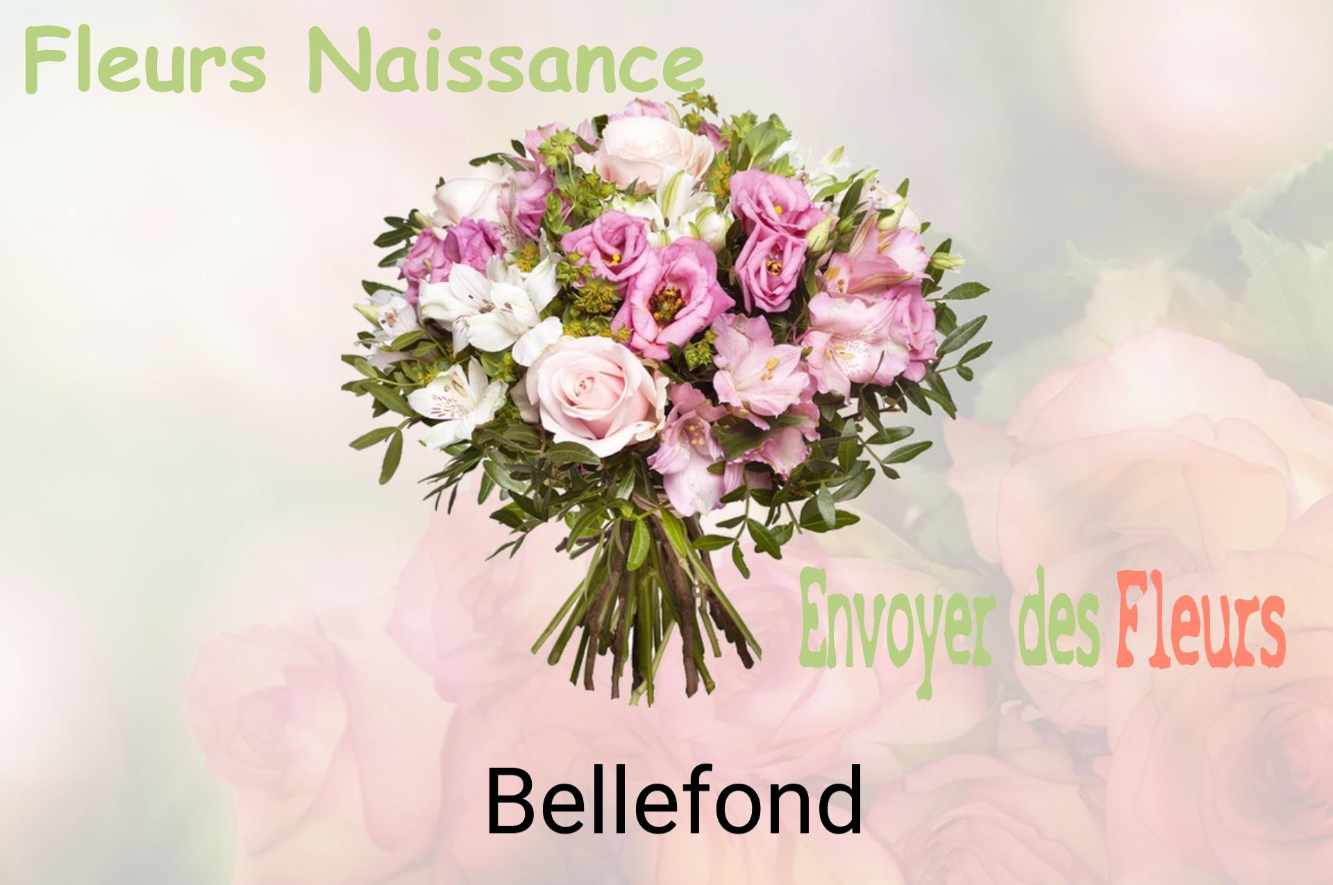 Bouquet de fleurs de naissance livré à Bellefond