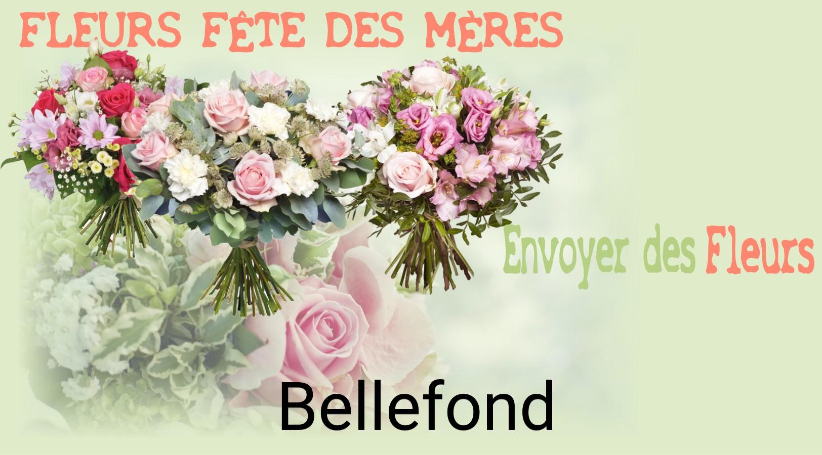 Bouquet de Fête des Mères livré à Bellefond